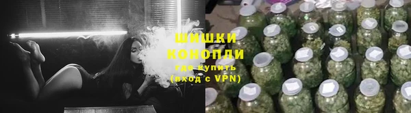 трава Дмитриев