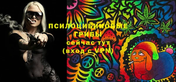 Альфа ПВП Дмитров