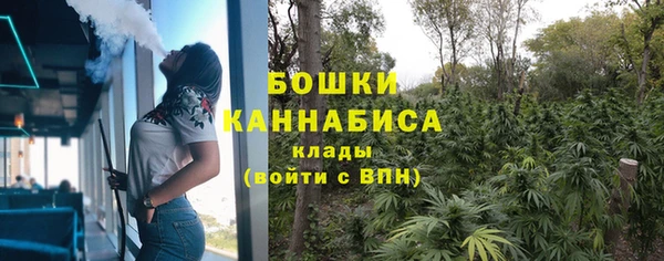 гашик Дмитровск