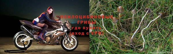 2c-b Елабуга