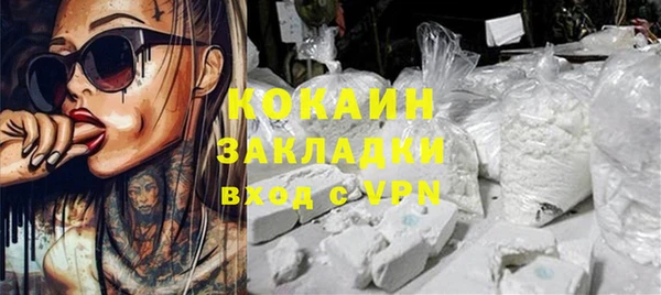 гашик Дмитровск