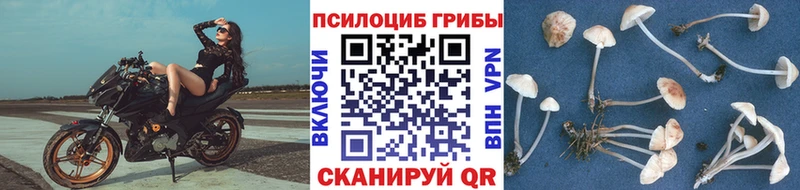 где найти наркотики Коломна Псилоцибиновые грибы мухоморы